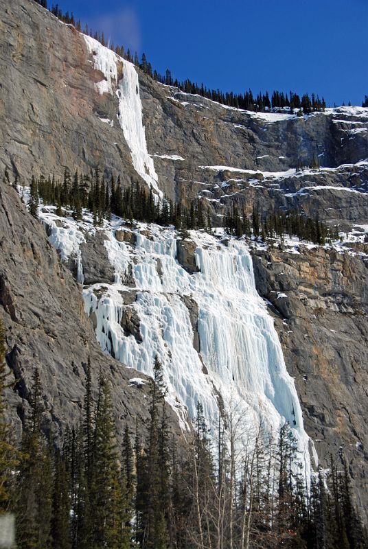 13 Frozen Waterfall Weeping Wall on Mount Cirrus From Icefields Parkway